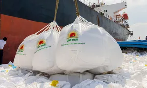 Lộc Trời hoãn họp cổ đông bất thường vì thiếu ứng viên Ban Kiểm soát Lộc Trời hoãn họp cổ đông bất thường vì thiếu ứng viên Ban Kiểm soát