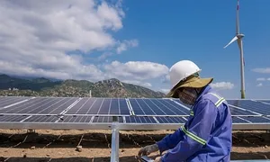 Dự án điện mặt trời hưởng giá FIT không đúng có thể bị thu hồi tiền Dự án điện mặt trời hưởng giá FIT không đúng có thể bị thu hồi tiền