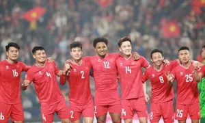SHB thuê máy bay đưa cổ động viên bóng đá sang Thái Lan SHB thuê máy bay đưa cổ động viên bóng đá sang Thái Lan