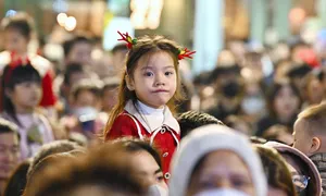 Tốc độ tăng dân số Việt Nam giảm Tốc độ tăng dân số Việt Nam giảm