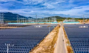 Chủ đầu tư Nhà máy điện mặt trời Trung Nam - Thuận Nam báo lỗ gần 600 tỷ đồng Chủ đầu tư Nhà máy điện mặt trời Trung Nam - Thuận Nam báo lỗ gần 600 tỷ đồng