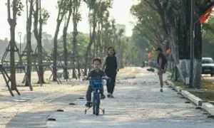 Đà Nẵng cải tạo vỉa hè, dành lối đi cho xe đạp Đà Nẵng cải tạo vỉa hè, dành lối đi cho xe đạp