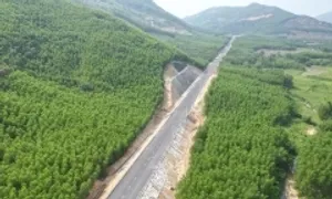 Khánh thành đường xuyên rừng nối KCN 5.000 tỷ đồng ở Bình Định Khánh thành đường xuyên rừng nối KCN 5.000 tỷ đồng ở Bình Định