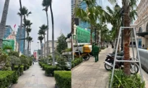 Hai hàng dừa khác biệt ngay trung tâm Sài Gòn Hai hàng dừa khác biệt ngay trung tâm Sài Gòn