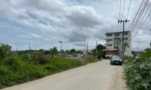 Mua được nhà, đất nhờ không ăn ngoài, vợ phát ngày 50 nghìn đồng Mua được nhà, đất nhờ không ăn ngoài, vợ phát ngày 50 nghìn đồng