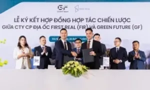 Green Future cho thuê 1.000 ôtô điện tại Đà Nẵng Green Future cho thuê 1.000 ôtô điện tại Đà Nẵng