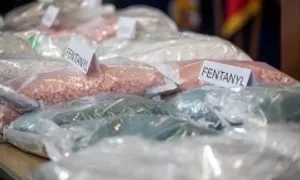 Ông trùm chống fentanyl của Canada nỗ lực giải quyết sức ép từ Mỹ Ông trùm chống fentanyl của Canada nỗ lực giải quyết sức ép từ Mỹ