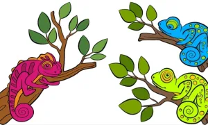 Ba dấu hiệu bạn là 'tắc kè hoa' khi yêu Ba dấu hiệu bạn là 'tắc kè hoa' khi yêu