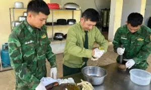 Bài thuốc dân gian từ con nhái cứu sống người ngộ độc lá ngón Bài thuốc dân gian từ con nhái cứu sống người ngộ độc lá ngón