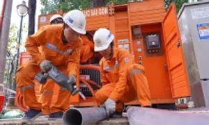 EVN kiểm tra hệ thống điện phục vụ lễ 30/4 tại TP HCM EVN kiểm tra hệ thống điện phục vụ lễ 30/4 tại TP HCM