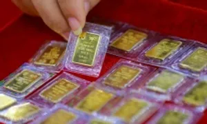 SJC lãi đột biến, cao nhất một thập kỷ SJC lãi đột biến, cao nhất một thập kỷ