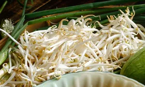 'Nước kẹo' ngâm giá đỗ có hại đến sức khỏe thế nào? 'Nước kẹo' ngâm giá đỗ có hại đến sức khỏe thế nào?
