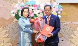 Một phó chủ nhiệm Ủy ban của Quốc hội xin nghỉ trước tuổi Một phó chủ nhiệm Ủy ban của Quốc hội xin nghỉ trước tuổi
