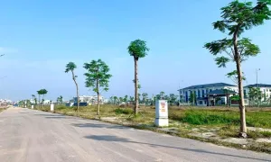 Đất đấu giá Bắc Giang cao nhất hơn 5 tỷ đồng một lô Đất đấu giá Bắc Giang cao nhất hơn 5 tỷ đồng một lô