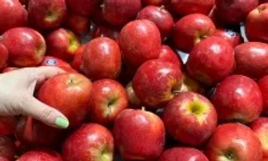 5 món ăn dưới 100 calo giúp giảm cân 5 món ăn dưới 100 calo giúp giảm cân