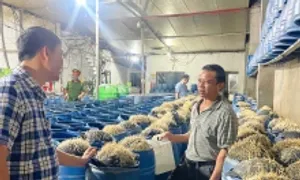 Ba người bị khởi tố vì bán 350 tấn giá đỗ ngâm 'nước kẹo' Ba người bị khởi tố vì bán 350 tấn giá đỗ ngâm 'nước kẹo'