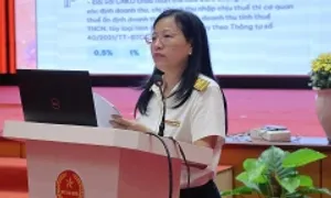 Ngành thuế dự kiến chia hộ kinh doanh thành 4 nhóm để quản lý