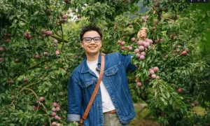 Tỉnh nào là thủ phủ của quả mận hậu? Tỉnh nào là thủ phủ của quả mận hậu?
