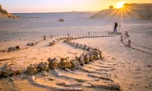 Nghĩa địa cá voi giữa sa mạc Sahara