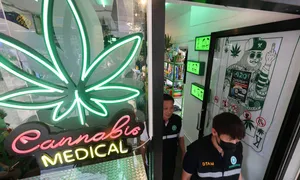 Ngành cần sa ở Thái Lan lao đao