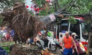 Hàng loạt cây đổ, nhà tốc mái trong giông lốc ở Hà Nội Hàng loạt cây đổ, nhà tốc mái trong giông lốc ở Hà Nội