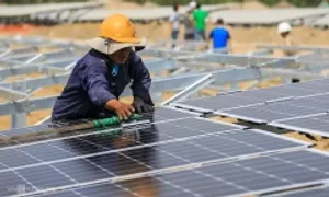 Doanh nghiệp toàn cầu 'khát' nhân lực xanh Doanh nghiệp toàn cầu 'khát' nhân lực xanh