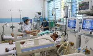 Sốt xuất huyết, Zika, Chikungunya - 3 bệnh nguy hiểm do muỗi Sốt xuất huyết, Zika, Chikungunya - 3 bệnh nguy hiểm do muỗi