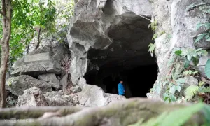 Lưu ý an toàn khi tham quan rừng Cúc Phương Lưu ý an toàn khi tham quan rừng Cúc Phương