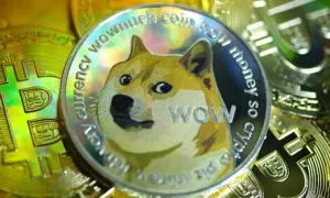 Cơ hội và rủi ro gì khi mua meme coin? Cơ hội và rủi ro gì khi mua meme coin?