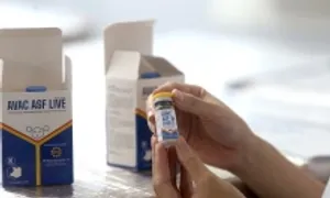Xuất khẩu 340.000 liều vaccine tả lợn châu Phi sang Philippines