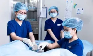 Hai lần thai lưu do tử cung dị dạng Hai lần thai lưu do tử cung dị dạng