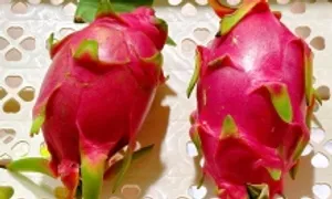 Lợi ích khi ăn thanh long thường xuyên Lợi ích khi ăn thanh long thường xuyên