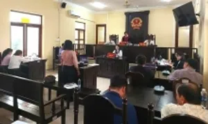 Nữ đại gia miền Tây 'hủy hoại tài sản 35 triệu đồng' ra tòa