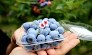 5 thực phẩm 'vàng' đẩy lùi ung thư vú